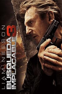 Busqueda Implacable 3