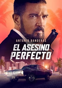 El asesino perfecto